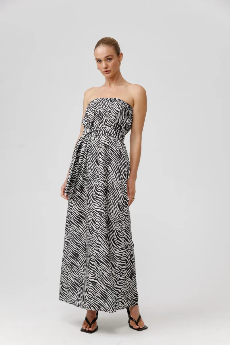Kinney-Nola-Dress-Zebra