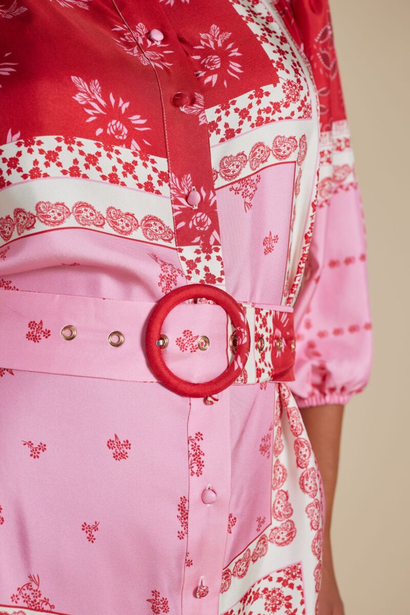 Alessandra Lyon Silk Twill Dress Lolly - Image 4