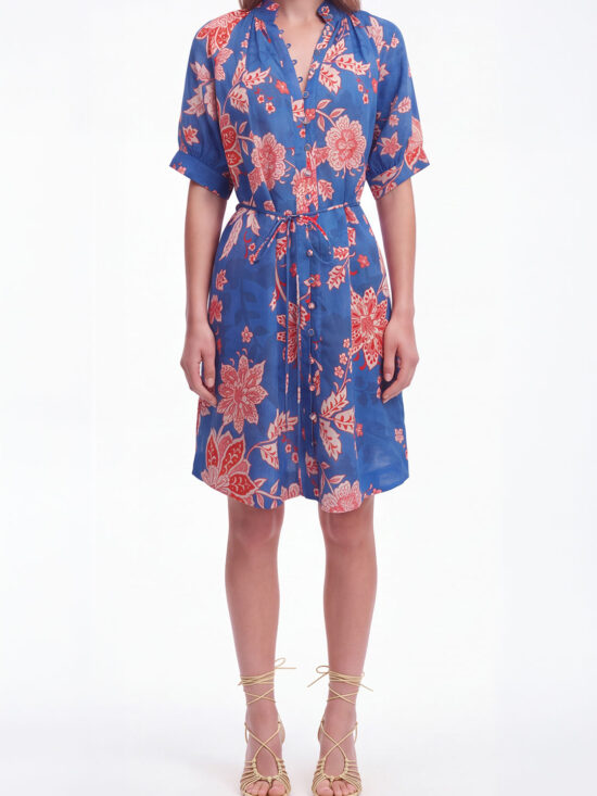 Amalia Valencia Dress 1